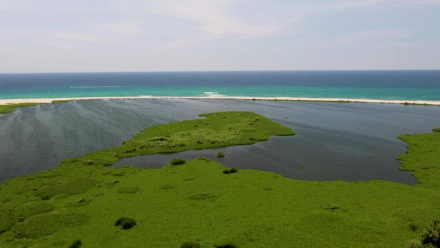 Boat Moving Across Ocean by Coastal Marsh