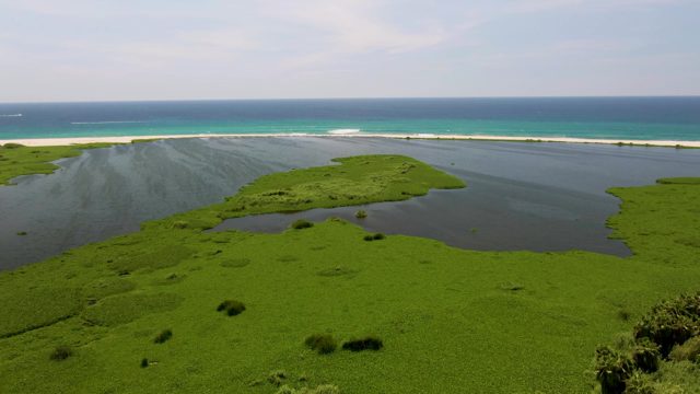 Lagoon, Green Marsh, and Ocean with Moving Boat