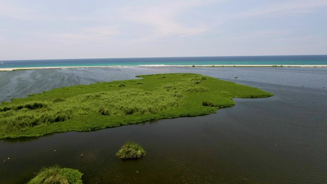 Small Lush Green Island in Calm Waters