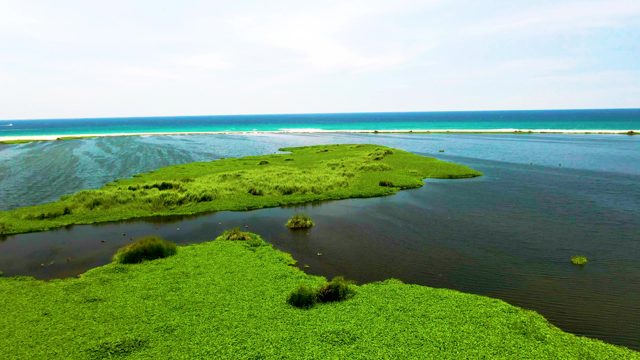 Lush Green Islets in Calm Ocean Waters