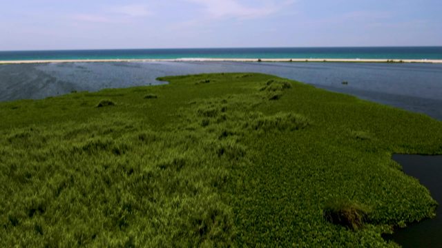 Grassy Island Shifting From Ocean View to Close-up