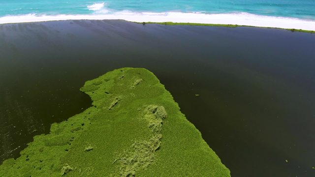 Green Landmass in Ocean with Fading Waves