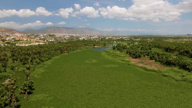 Lush Green Field and Distant Town From Above