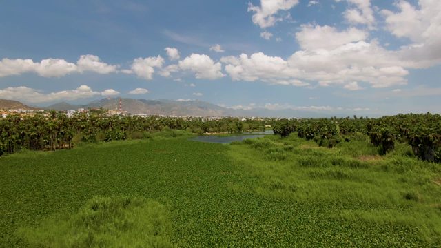 Person Moving Across Green Agricultural Field