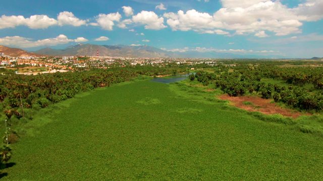 Green Agricultural Field with River and Distant Town