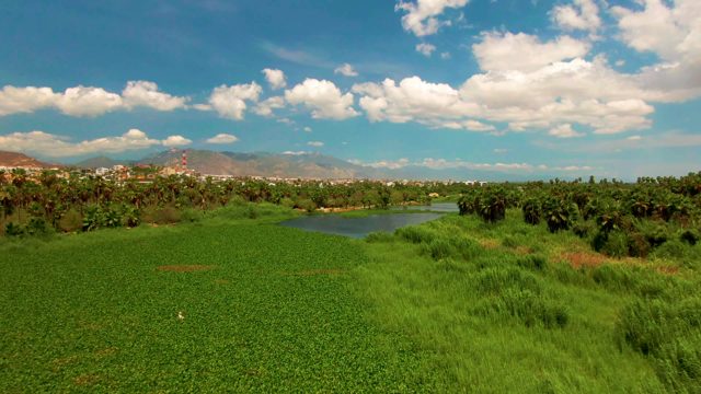 Drifting Clouds over a Lush Field and Small Pond