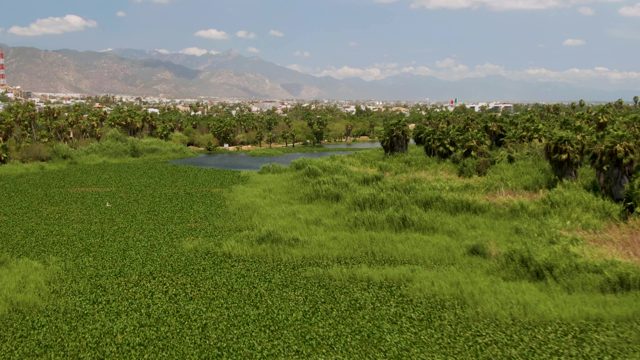 Lush Green Field with Small Water Body and Distant Mountains