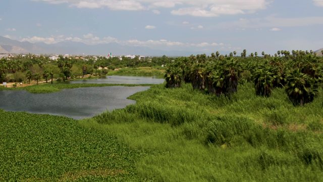 Pond and Lush Greenery with Distant Hills
