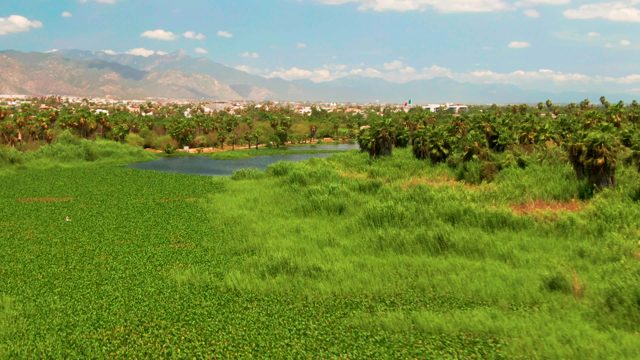 Lush Green Fields and a Small Pond with Distant Mountains