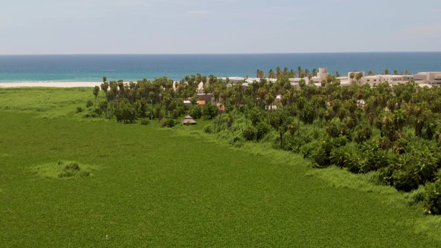 Ocean Waves Rolling Onto Sandy Beach Near Green Fields