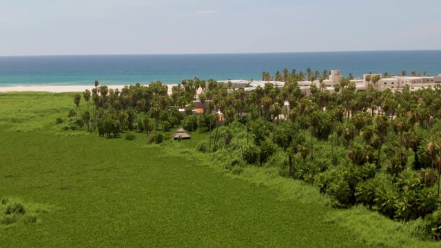 Coastal Green Fields and Ocean Shoreline