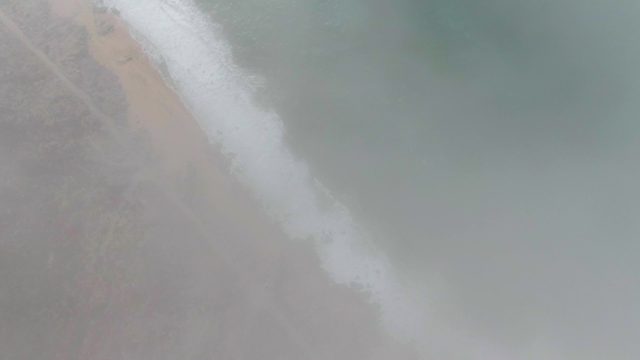 PUNTA GORDO EAST CAPE BCS MEXICO-2022: Waves Breaking on Sandy Beach with Coastal Vegetation
