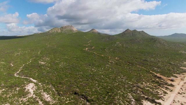 BUZZARDS EAST CAPE LOS CABOS BCS MEXICO-2022: Vehicle Traveling on a Dirt Road Through Green Hills