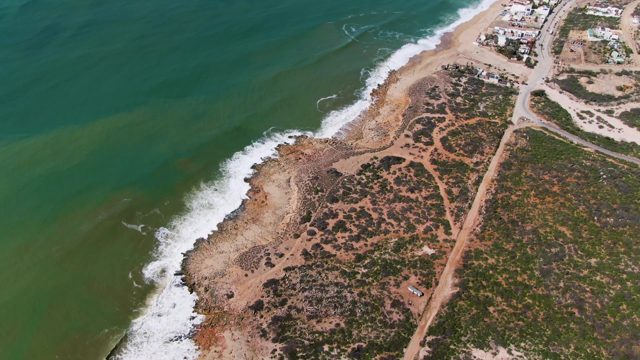 BUZZARDS EAST CAPE LOS CABOS BCS MEXICO-2022: Waves Crashing on Sandy Shore with Coastal Vegetation