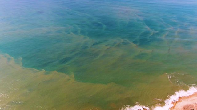 BUZZARDS EAST CAPE LOS CABOS BCS MEXICO-2022: Shallow Ocean Water and Sandy Shoreline