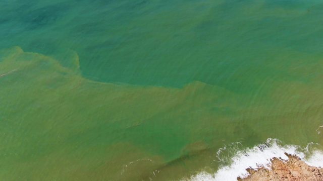 BUZZARDS EAST CAPE LOS CABOS BCS MEXICO-2022: Ocean Water Color Gradients at Shoreline