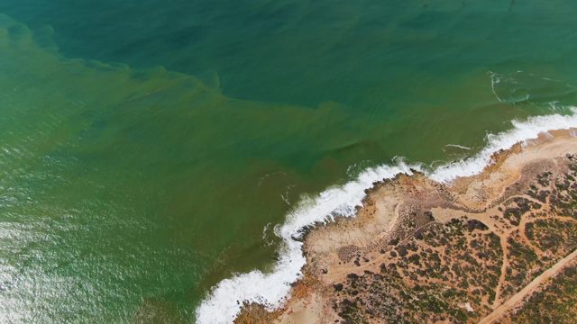 BUZZARDS EAST CAPE LOS CABOS BCS MEXICO-2022: Coastal Shoreline with Gentle Waves and Sandy Beach