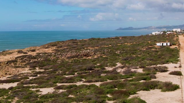 BUZZARDS EAST CAPE LOS CABOS BCS MEXICO-2022: Coastal Dunes with Road and Low Vegetation