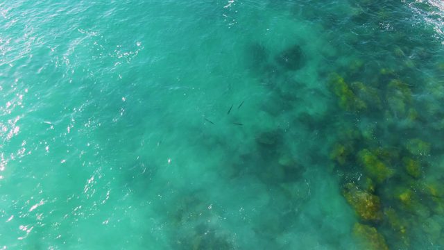 BUZZARDS EAST CAPE LOS CABOS BCS MEXICO-2022: Clear Turquoise Water Over Rocky Seabed with Gentle Waves