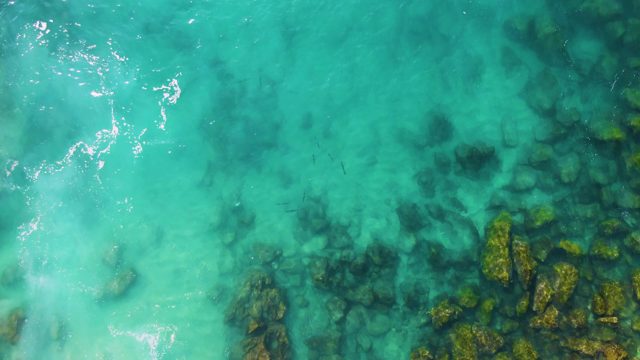 BUZZARDS EAST CAPE LOS CABOS BCS MEXICO-2022: Clear Turquoise Water with Submerged Rocks and Swimming Fish