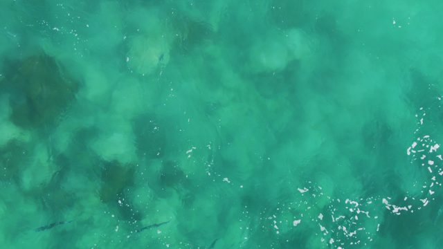 BUZZARDS EAST CAPE LOS CABOS BCS MEXICO-2022: Clear Turquoise Ocean Water with Underwater Coral and Fish
