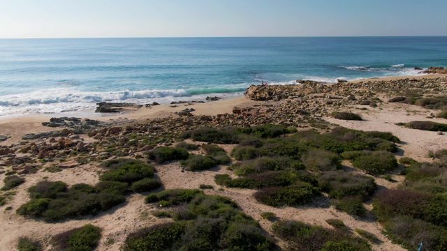 BUZZARDS EAST CAPE LOS CABOS BCS MEXICO-2022: Waves Crashing on Rocky Beach with Coastal Shrubbery