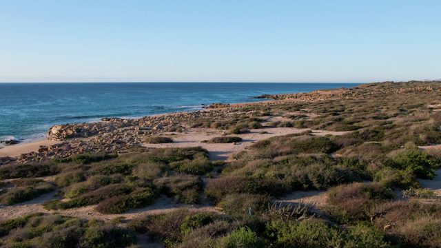 BUZZARDS EAST CAPE LOS CABOS BCS MEXICO-2022: Ocean Waves Lapping Rocky Shore with Coastal Shrubs