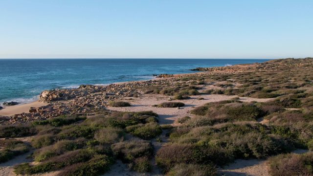 BUZZARDS EAST CAPE LOS CABOS BCS MEXICO-2022: Waves Lapping Rocky Shore with Coastal Vegetation