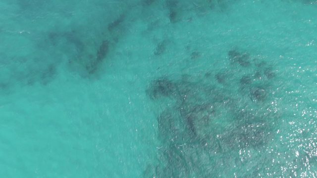 PLAYA EL ARBOLITO CABO PULMO BCS MEXICO-2022: Turquoise Ocean Water with Visible Seabed and Gentle Ripples