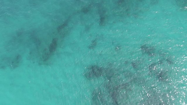PLAYA EL ARBOLITO CABO PULMO BCS MEXICO-2022: Gentle Ocean Waves Over Shallow Coral Reefs