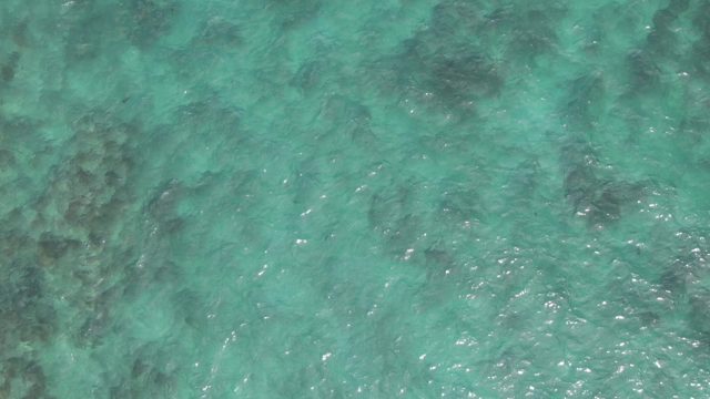 PLAYA EL ARBOLITO CABO PULMO BCS MEXICO-2022: Clear Turquoise Ocean Water over Seabed