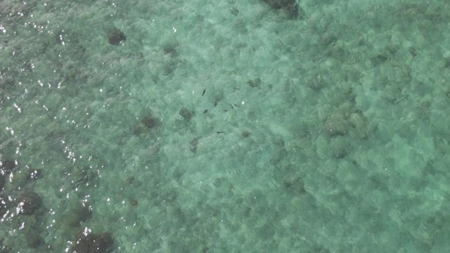 PLAYA EL ARBOLITO CABO PULMO BCS MEXICO-2022: Shallow Turquoise Water Over Rocky Seabed