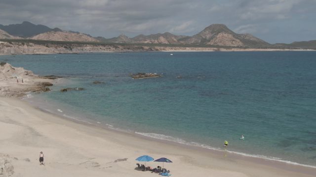 PLAYA EL ARBOLITO CABO PULMO BCS MEXICO-2022: People and Umbrellas on a Sandy Beach