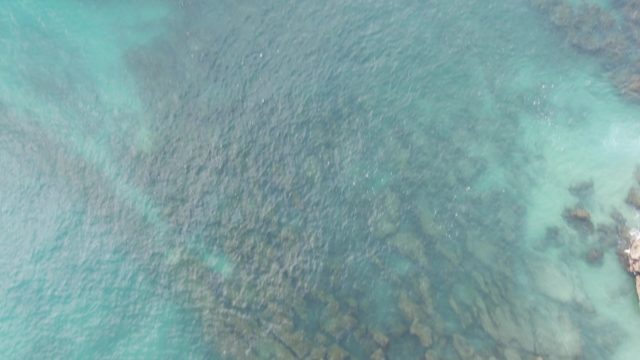 BUZZARDS EAST CAPE LOS CABOS BCS MEXICO-2022: Rocky Seabed in Clear Turquoise Ocean Water