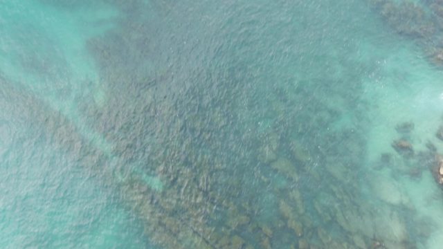 BUZZARDS EAST CAPE LOS CABOS BCS MEXICO-2022: Clear Turquoise Ocean with Visible Underwater Reefs
