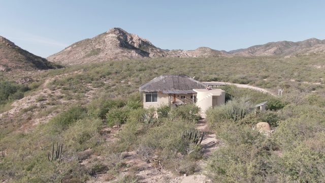 CABO PULMO BCS MEXICO-2022: Dog Moving near Desert House with Mountains