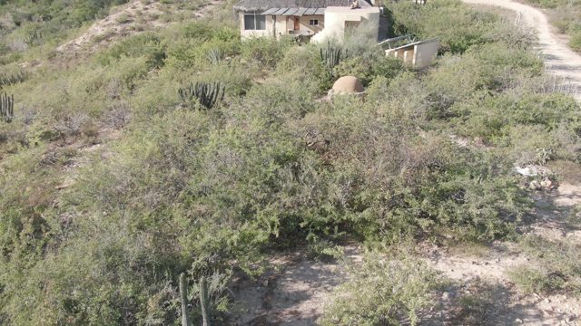 CABO PULMO BCS MEXICO-2022: Desert Shrubland and House Reveal