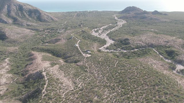 CABO PULMO BCS MEXICO-2022: Vehicle Traveling on Winding Desert Road