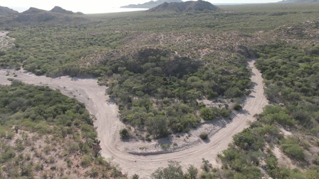 CABO PULMO BCS MEXICO-2022: Winding Dirt Road Through Green Coastal Hills