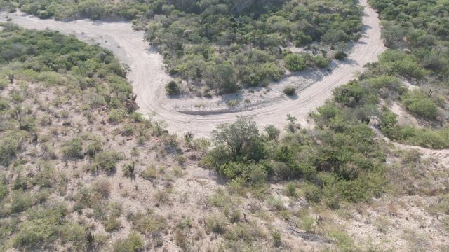 CABO PULMO BCS MEXICO-2022: Winding Dirt Road Through Arid Bushland