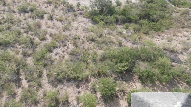 CABO PULMO BCS MEXICO-2022: Winding Dirt Road in Arid Landscape Descending View