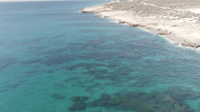 BUZZARDS EAST CAPE LOS CABOS BCS MEXICO-2022: Clear Turquoise Waters Along Rocky Coastline