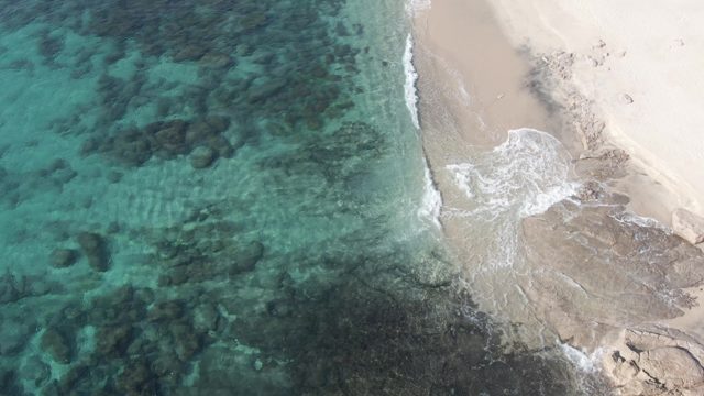 BUZZARDS EAST CAPE LOS CABOS BCS MEXICO-2022: Coastal Waters with Rocky Seabed and Sandy Shore
