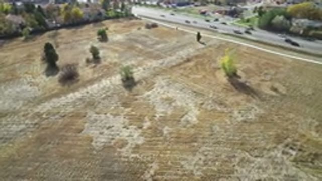 HIDDEN LAKE COLORADO-2016: Highway Field Land Looks Really Ready To Build Cars