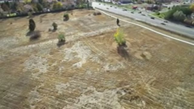 HIDDEN LAKE COLORADO-2016: Aerial View Of A Field With Trees And Cars