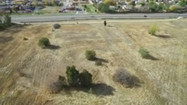 HIDDEN LAKE COLORADO-2016: Bird's Eye View Of A Roadside Green Area With Sparse Trees