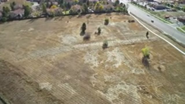 HIDDEN LAKE COLORADO-2016: A Well-Maintained Yard Can Enhance The Beauty Of Your