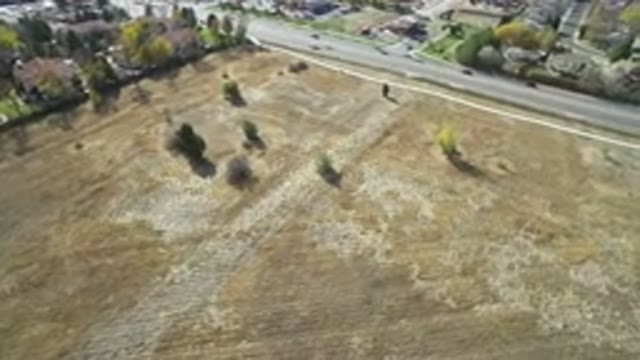 HIDDEN LAKE COLORADO-2016: Daytime Aerial View Of Empty Lot With Trees And