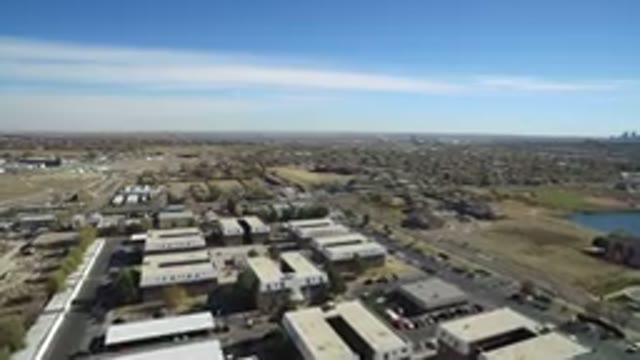 WESTMINSTER COLORADO-2016: Free Your Mind And Soar Like A Bird In The Sky