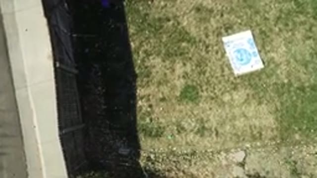 WESTMINSTER COLORADO-2016: Living In The Fence